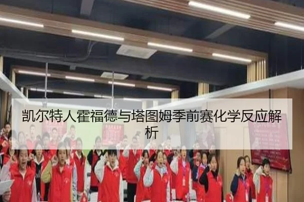 凯尔特人霍福德与塔图姆季前赛化学反应解析